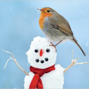 Winter Friends Charity Pack