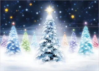 Christmas Colours