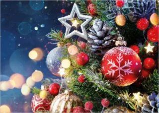 Christmas Splendour
