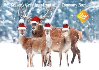 Bespoke Deer Friends.