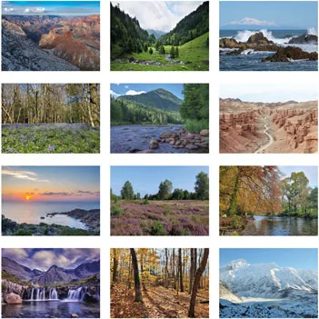 Landscape Calendar - Charity Cards